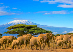 africa-packages
